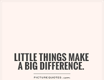 IT IS THE LITTLE THINGS THAT MAKE A BIG DIFFERENCE