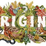 Why the Best Success Stories Often Begin With Failure