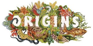 Why the Best Success Stories Often Begin With Failure